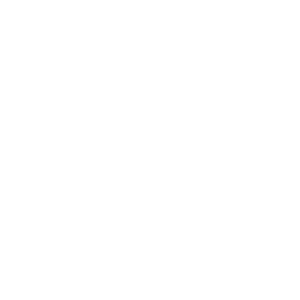 The Hotel Experts